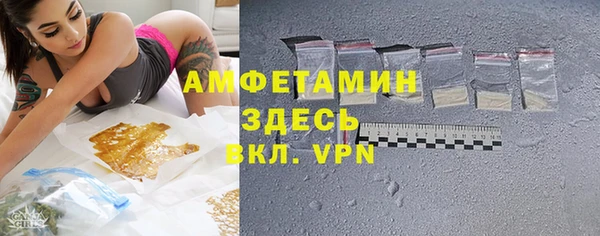 индика Сафоново
