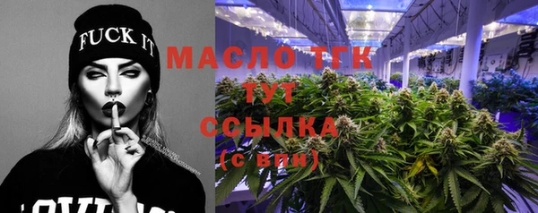 индика Сафоново