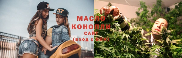 индика Сафоново