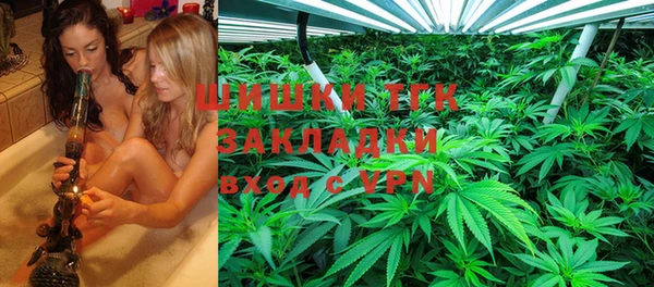 индика Сафоново