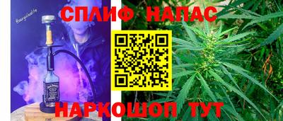 прущие крисы Бийск