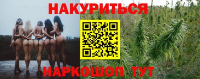 прущие крисы Бийск