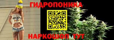 прущие крисы Бийск