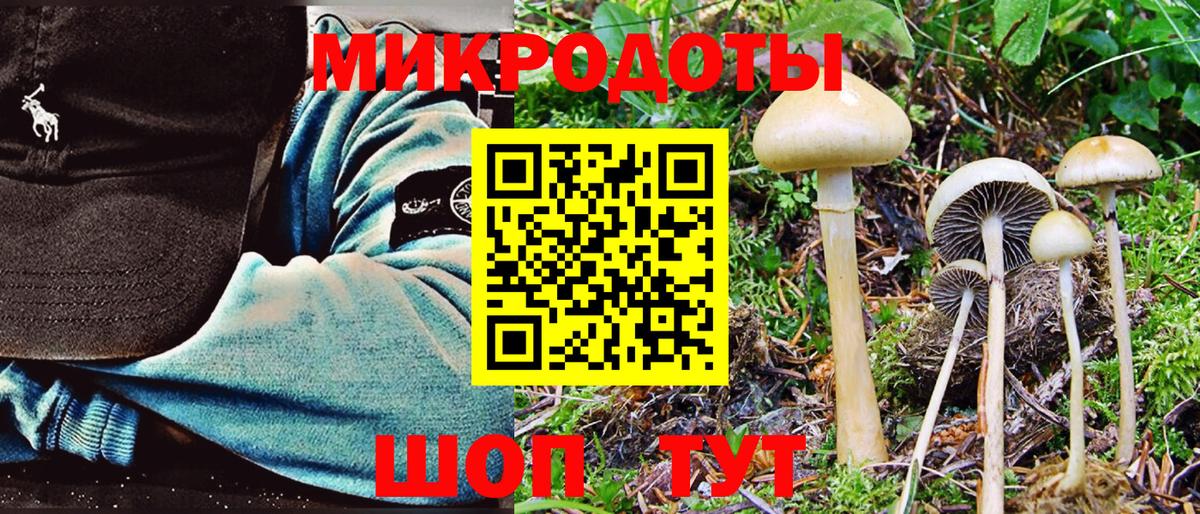 Спасск-Дальний  Псилоцибиновые грибы мицелий  Галлюциногенные грибы Cubensis  Вход с VPN 